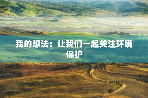 我的想法：让我们一起关注环境保护