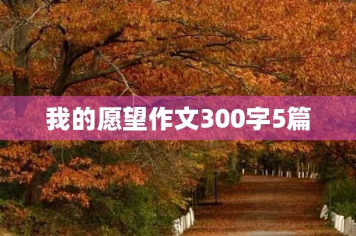我的愿望作文300字5篇
