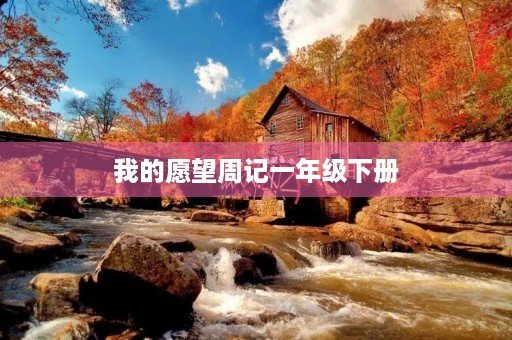 我的愿望周记一年级下册