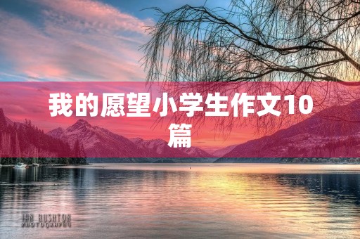 我的愿望小学生作文10篇