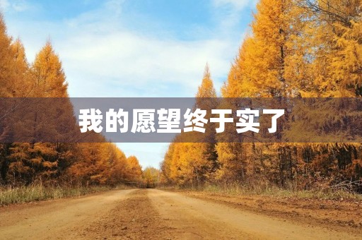 我的愿望终于实了