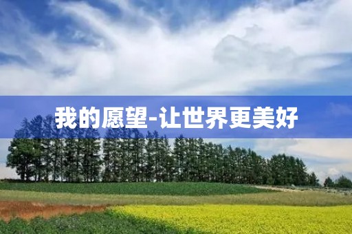 我的愿望-让世界更美好 我的愿望-让世界更美好