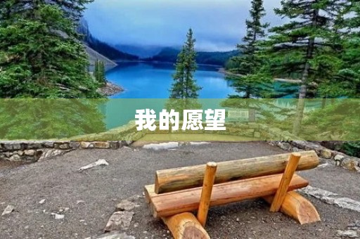 我的愿望
