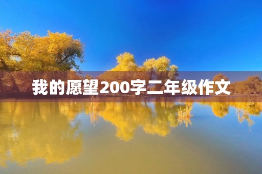 我的愿望200字二年级作文