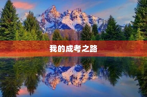 我的成考之路