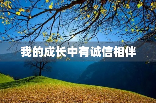我的成长中有诚信相伴