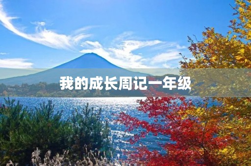 我的成长周记一年级 我的成长周记一年级
