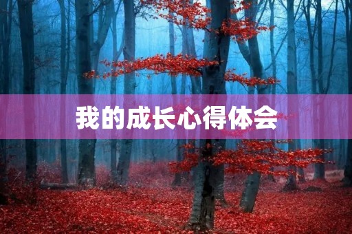 我的成长心得体会 我的成长心得体会