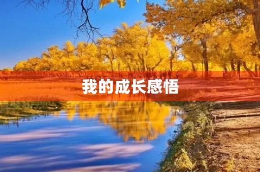 我的成长感悟 我的成长感悟