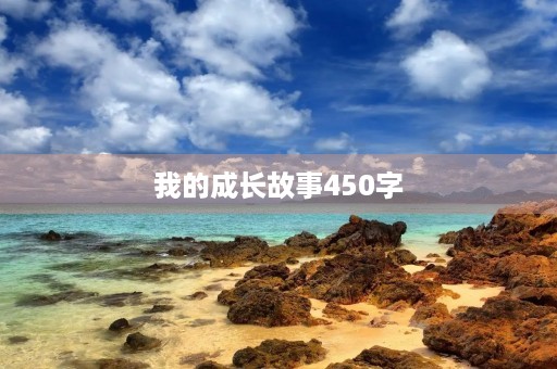 我的成长故事450字