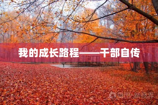 我的成长路程——干部自传 我的成长路程——干部自传