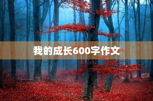 我的成长600字作文