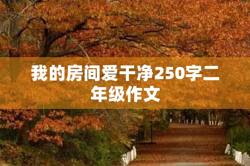 我的房间爱干净250字二年级作文