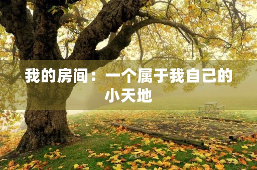 我的房间:一个属于我自己的小天地 我的房间:一个属于我自己的小天地
