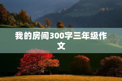 我的房间300字三年级作文