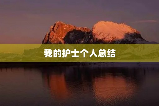 我的护士个人总结