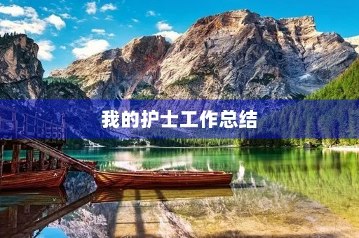 我的护士工作总结