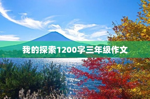 我的探索1200字三年级作文 我的探索1200字三年级作文