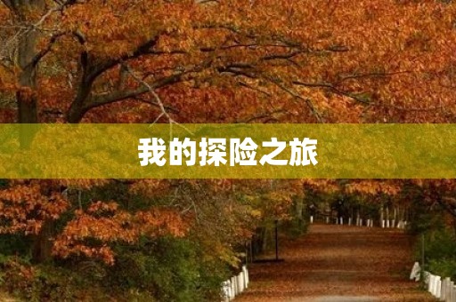 我的探险之旅