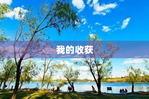我的收获