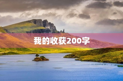 我的收获200字