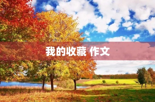 我的收藏 作文