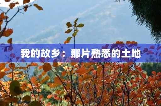 我的故乡：那片熟悉的土地