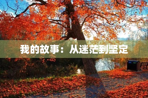 我的故事：从迷茫到坚定
