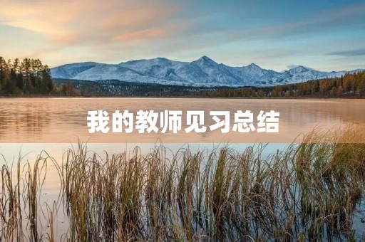 我的教师见习总结