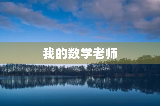 我的数学老师 我的数学老师