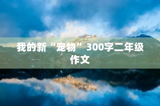 我的新“宠物”300字二年级作文