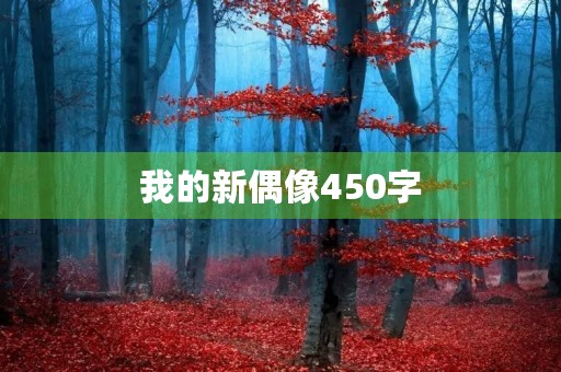 我的新偶像450字