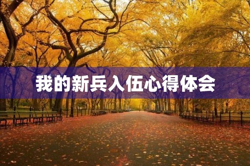 我的新兵入伍心得体会