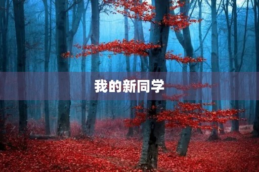 我的新同学