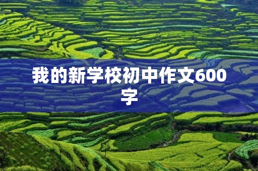 我的新学校初中作文600字 我的新学校初中作文600字