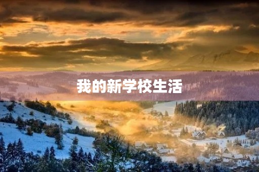 我的新学校生活