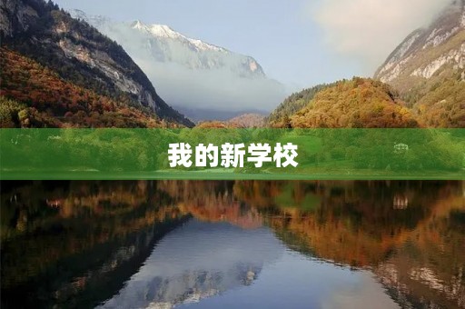 我的新学校 我的新学校