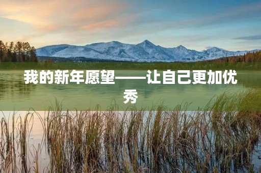 我的新年愿望——让自己更加优秀