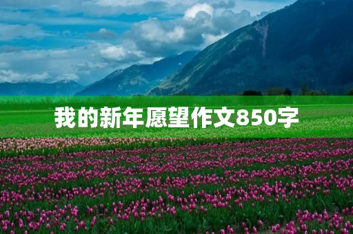 我的新年愿望作文850字 我的新年愿望作文850字