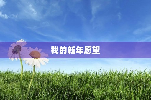 我的新年愿望 我的新年愿望