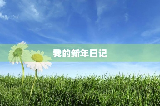 我的新年日记 我的新年日记