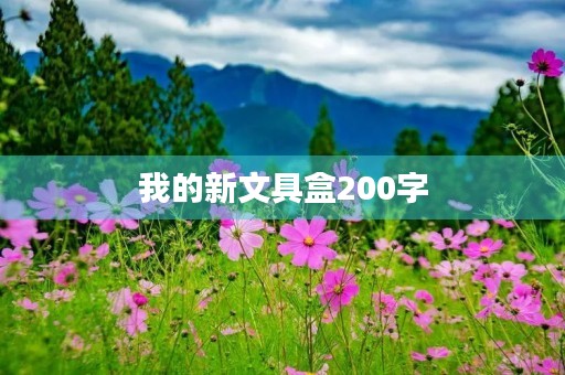 我的新文具盒200字