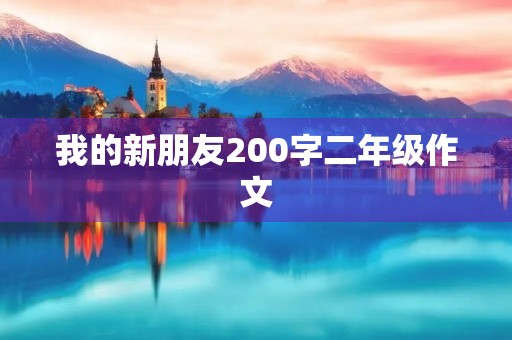我的新朋友200字二年级作文