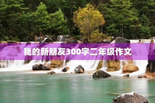 我的新朋友300字二年级作文