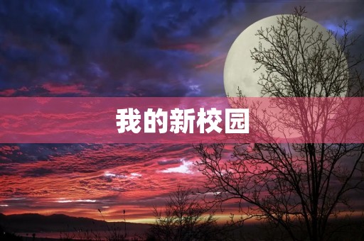 我的新校园 我的新校园