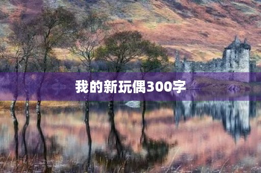 我的新玩偶300字
