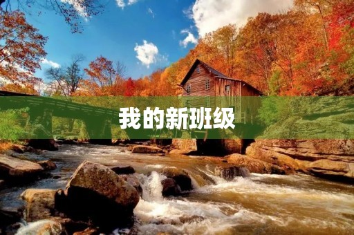 我的新班级 我的新班级