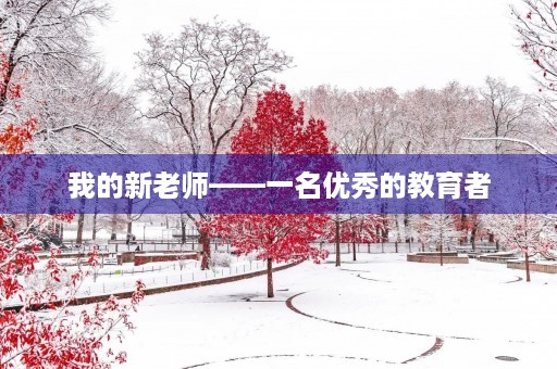 我的新老师——一名优秀的教育者
