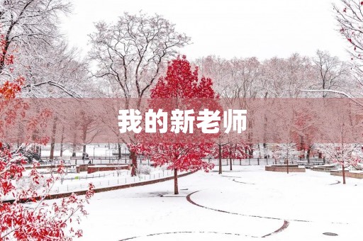 我的新老师