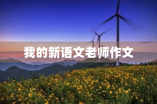 我的新语文老师作文 我的新语文老师作文